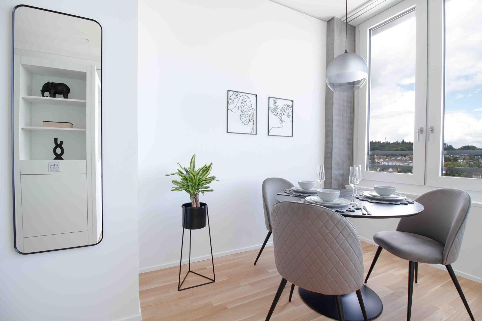 Loewe Apartments Am Rheinfall Neuhausen Am Rheinfall Eksteriør bilde